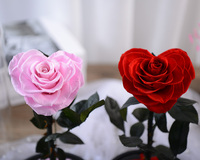 Eternal Rose Flowers for Morthers and Valentine's Day Everlasting Conserved Forever Roses in Glass Dome Led