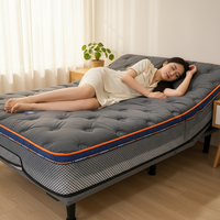 Cadre de lit en fer inclinable moderne réglable sur mesure OEM/ODM |   Contrôle intelligent multi-mode |   Structure Durable et Écologique pour la Maison