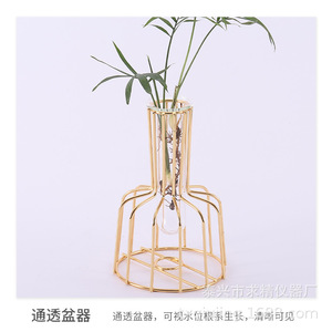 Transparent Glass Pothos Hydroponic Vase Geometric Metal Frame Desktop Plant Decoration For Living Room Or Office - Product Image 3