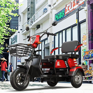2025 vente chaude 48V Scooter électrique adulte conception de corps ouvert avec des tricycles électriques de riz coloré à vendre - Product Image 5