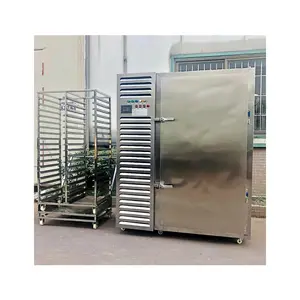Automatic stainless steel Large dumpling processing quick-freezing machine