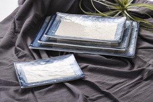 Premium 8 Inch Blue Line <strong>Rectangular</strong> Melamine <strong>Plate</strong> Eco-Friendly <strong>Plastic</strong> Food <strong>Serving</strong> Dish for Sushi Vegetable Dessert Dinner - Product Image 3