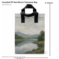 Sac de livraison isotherme OEM en tissu non tissé PP, sac de transport pour plats à emporter, poignée en sangle noire, impression personnalisée