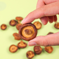 Chips de Champiñones Shiitake Fritos al Vacío a Baja Temperatura, Salados, 45g, Certificados Halal, Snacks Vegetales Secos, Saludables y Crujientes