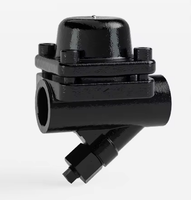 Vanne de purge vapeur thermostatique manuelle haute température pour eau, modèle SH-300, structure bimétallique, clapet de retenue, application générale
