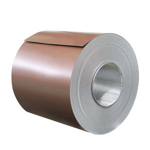DIN 17162 Contenedor laminado en frío Acero Ppgl Techo de aluminio Rollos de metal 0,3 0,4mm Bobina recubierta de color - Product Image 1