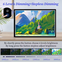 Peinture au diamant rechargeable Led Tracing Light Board pour la conception d'animation