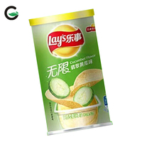 Suministro Directo de Fábrica Lay's: Patatas Fritas Lay's en Vaso de 40g, Snack Crujiente Semiblando con Sabor Salado, Snack Exótico en Lata