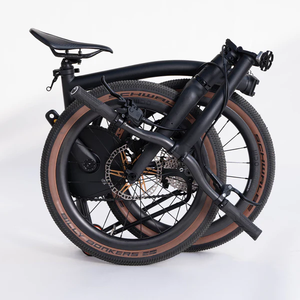 HEXATI T20 edición juvenil, aleación de titanio aerodinámica completa, 12 velocidades, bicicleta <span class=keywords><strong>Brompton</strong></span> G line de titanio aerodinámico completo. - Product Image 3