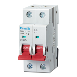 Timelec สวิตช์ TMH1-125 2P DC สำหรับทำลายกระแสไฟฟ้า - Product Image 1