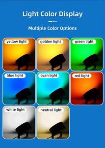 1000W Blanco Cian Rojo Amarillo Azul Verde 3000K Lámpara <span class=keywords><strong>de</strong></span> pesca Clasificación IP65 Herramienta efectiva para atraer <span class=keywords><strong>peces</strong></span> <span class=keywords><strong>de</strong></span> calamar sobre el <span class=keywords><strong>agua</strong></span> - Product Image 5