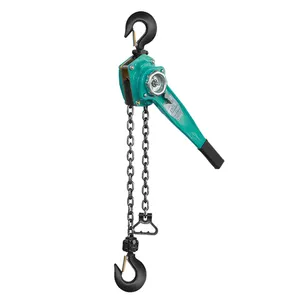 Heavy Lifting Crane 1000kg 2 Ton 3ton 6 Ton Manual Lever Chain Block Hoist For Sale