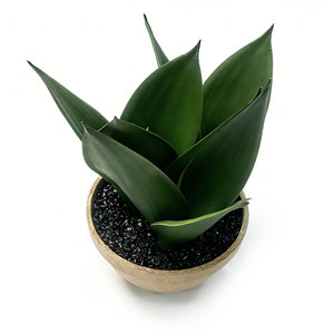 Plante Serpentine Artificielle en Pot en Fibre de Cellulose, Plantes Artificielles en Pot, Plante Sansevieria Artificielle pour la Décoration Intérieure de la Maison, de la Cuisine, de la Chambre et du Bureau - Product Image 5