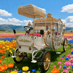 Calèche électrique royale rétro personnalisable sans chevaux avec structure amortissante pour le transport de passagers dans les zones touristiques - Product Image 3