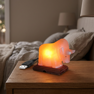 Lampe de sel de l'Himalaya de qualité supérieure, lampe de sel miniature naturelle de l'Himalaya avec base en bois pour la décoration de la pièce, sculptée à la main - Product Image 1