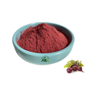 Venta caliente polvo de raíz de remolacha fermentada orgánica polvo de extracto de remolacha de raíz de remolacha roja - Product Image 2