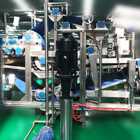 Industriële Sapcentrifuge Machine Fruitconcentraat Productielijn Appelpeer Ananas Riem Type Sapafzuiger