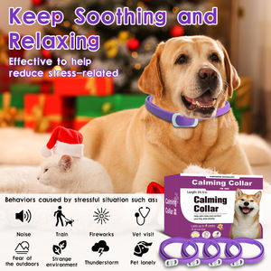 <span class=keywords><strong>Collar</strong></span> Calmante para Perros, 4 Piezas, Alivio de la Ansiedad, <span class=keywords><strong>Collar</strong></span> de Silicona de PVC para Reducir el Estrés de las Mascotas - Product Image 2