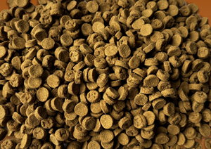 Nourriture sèche pour chats OEM ODM <span class=keywords><strong>GreenFood</strong></span> 42 CA - Product Image 2