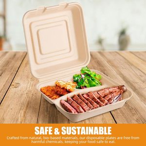 Compostable Disposable 2 <b>Compartments</b> Restaurant Bento <b>Lunch</b> <b>Box</b> to Go Disposable Meal Prep Container - Product Image 4