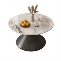 Ensemble de tables basses modernes minimalistes en acier inoxydable, meubles de salon de haute qualité et écologiques