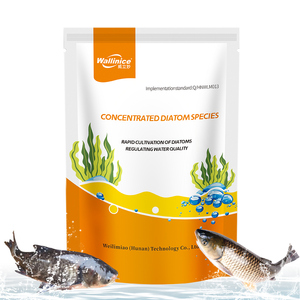 L'additif alimentaire complexe pour poissons Bacillus Subtilis favorise une croissance rapide chez les animaux aquatiques