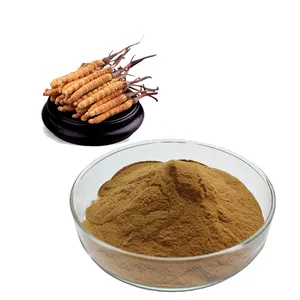 Pure Natural Cordyceps Extract Cordyceps sinensis 40% polysaccharides