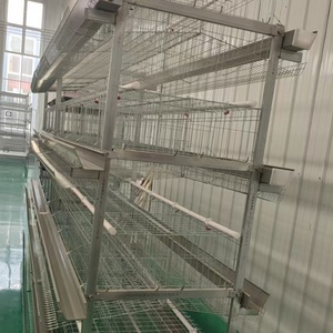 Jaula para pollos tipo H con construcción <span class=keywords><strong>de</strong></span> doble alambre para evitar la caída <span class=keywords><strong>de</strong></span> la estructura - Product Image 4