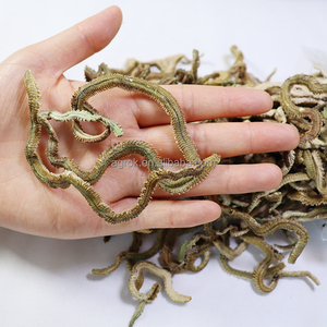 เหยื่อตกปลาแบบแห้งเหยื่อตกปลาแท้100กรัมเหยื่อตกปลาหนอนหนอนธรรมชาติเหยื่อตกปลาแบบแห้ง - Product Image 4