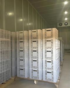 Solutions de Réfrigération Automatique Intelligentes et Personnalisées pour le Traitement des Fruits et Légumes, Moteur, Énergie <span class=keywords><strong>Solaire</strong></span> - Product Image 6