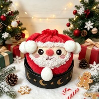 Nouvelle Boîte Mystère de Jouets en Peluche Fidget de Noël – Adorables Peluches en Forme de Dumpling, Créatives pour Noël, Père Noël et Halloween