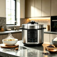 Nouvelle Cocotte-minute Électrique Multifonction Grande Capacité avec Écran Tactile LED en Acier Inoxydable, Tension Universelle, Vente en Gros Directe Usine