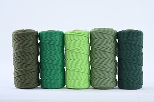 Nhà Máy Bán Buôn 3Mm 4Mm 5Mm 6Mm 16 Sợi Cấu Trúc Tùy Chỉnh Màu Sắc Bện Dây - Product Image 3