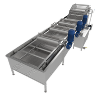 Bubble Type Gember Groenten Wasmachine Fruit En Groente Bubbel Reinigingsmachine Voor Voedselverwerking Lijn