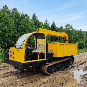 Compact 3 Ton Crawler Mounted <b>Crane</b> All Terrain Hydraulic Equipment - Product Image 1