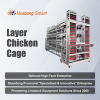 Nouvelle cage à poulets automatique multi-niveaux de type H, en acier galvanisé à chaud, résistante à la corrosion, pour l'élevage commercial de poules pondeuses
