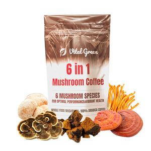 Oem פרטי תווית הסיטונאי סוכר 100% טבעי אריות reishi טבעי 6 ב 1 קפה פטריות מיידית - Product Image 1