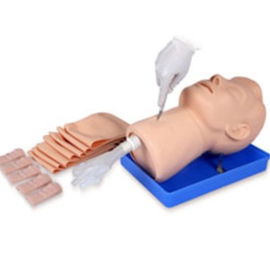 <span class=keywords><strong>Crico</strong></span>-mannequin d'examen de la thyroïde modèle de ponction thyroïdienne - Product Image 1