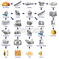 Sinaasappelsap Productie-Installatie En Concentraat Lijn Fruit & Vetable Juicer Machine Voor De Verwerking Van Sinaasappelolie