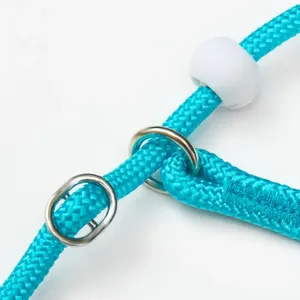 Pet Dog Đào Tạo Vòng Sợi Dây Thừng 150Cm Ánh Sáng Trọng Lượng Nylon P Chuỗi Cổ Áo Có Thể Điều Chỉnh Cho Nhỏ Chó Vừa Đi Bộ Dây Xích - Product Image 5