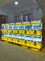 Nouveau design Mini Lob Cabin, machine à grue à monnayeur pour 2 joueurs avec casier à prix, compatible 110V/220V, pour divertissement intérieur BAOYU