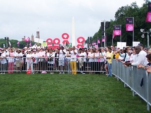 Rào Chắn Kiểm Soát Đám Đông Cho Người Đi Bộ Chân Cố Định - Product Image 6