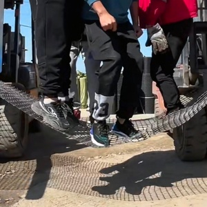 Malla <span class=keywords><strong>de</strong></span> Geogrid Biaxial <span class=keywords><strong>de</strong></span> PP Negra, Malla <span class=keywords><strong>de</strong></span> 3 cm <span class=keywords><strong>de</strong></span> Apertura y 50 m <span class=keywords><strong>para</strong></span> Cría <span class=keywords><strong>de</strong></span> Aves <span class=keywords><strong>de</strong></span> Corral, Protección <span class=keywords><strong>de</strong></span> Huertos y Granjas - Product Image 6