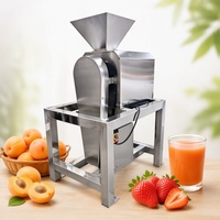 Fabrieks Prijs Tomatenpuree Hoge Snelheid Enkeltraps Fruitpulper Machine Pulperingsmachine