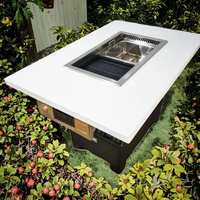 Table de barbecue coréenne sans fumée, barbecue électrique avec ventilateur d'évacuation et surface antiadhésive