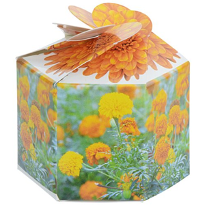 Kit de Jardinière Pop-up Personnalisable avec Logo, pour Marigolds, Pliable, Portable, Doré Vibrant, pour un Jardin Festif et Fleuri, Cadeau, Vente en Gros - Product Image 2