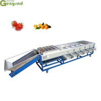 Genyond Citroen Sinaasappel Kersen Bosbessennoot Sorteren Fruitmachine Vruchten Dadel Palm Pitting Sortering Fruit Machines
