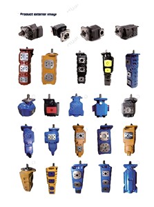 Repuestos para Rodillos HuamaoRoad, Bomba Hidráulica Serie CBGJ, Bomba de Engranajes de Alta Presión, Bomba de Aceite CBGJ - Product Image 6