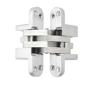 Bisagra oculta para puertas plegables, acero inoxidable 201, 4 mm de grosor, montaje empotrado, diseño minimalista, bisagras para muebles - Product Image 1