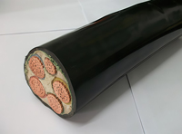 Câble d'alimentation souterrain pour photovoltaïque, conducteur en cuivre 600/1000V, isolation XLPE, blindage en bande d'acier, gaine LSZH